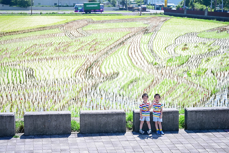 以朋友所送的兩隻西非側頸龜，開箱70-180mm F2.8，Z8帶子脫落，所以由Z6III拍。