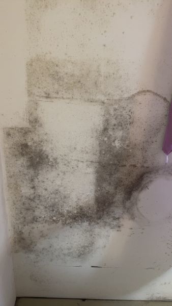 牆面裂縫以及發霉問題