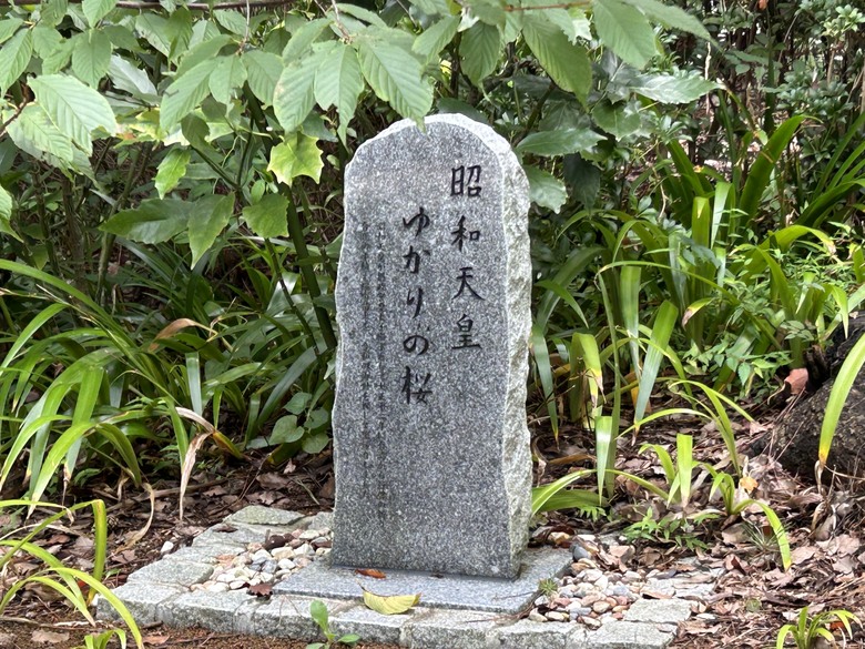 騎 單 車 遊 東 京 ( 下 )
