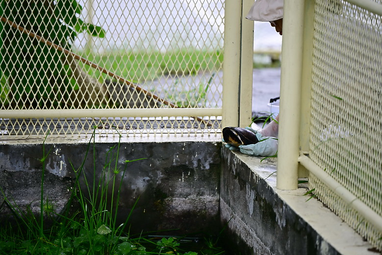 以朋友所送的兩隻西非側頸龜，開箱70-180mm F2.8，Z8帶子脫落，所以由Z6III拍。
