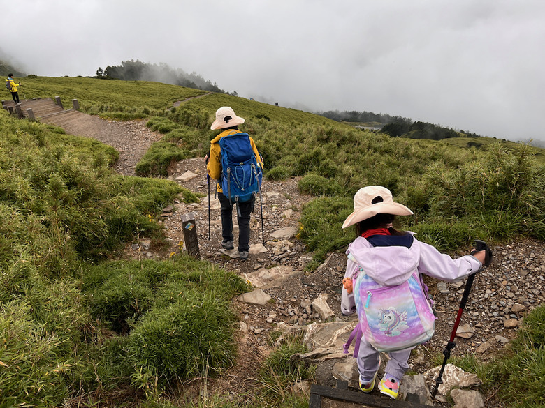 親子健行步道推薦【合歡東峰】|帶孩子拿下第一個百岳