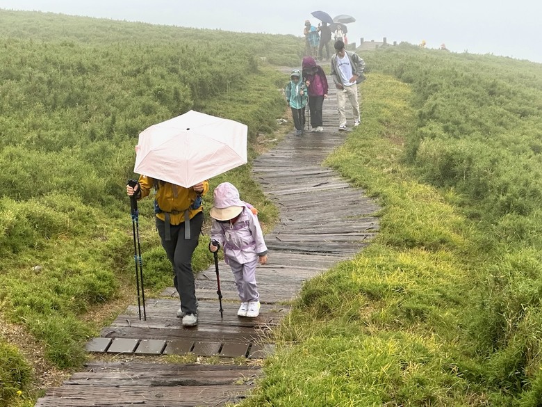 親子健行步道推薦【合歡東峰】|帶孩子拿下第一個百岳