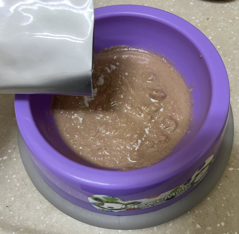 沒想到我也有變成貓奴的一天…