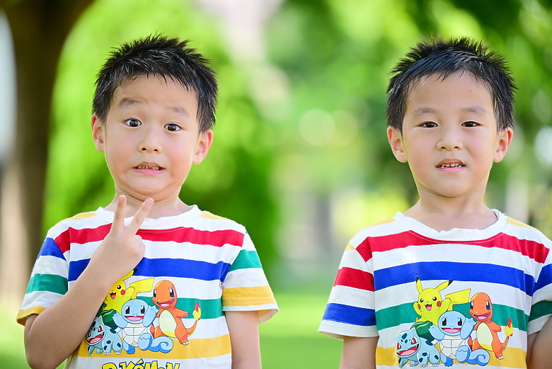 以朋友所送的兩隻西非側頸龜，開箱70-180mm F2.8，Z8帶子脫落，所以由Z6III拍。