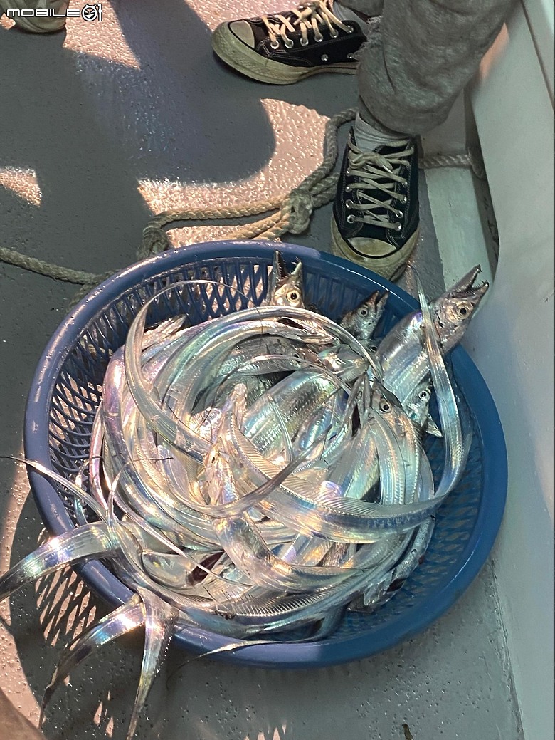 【基隆旅遊】海釣初體驗，現流白帶魚，清燙白蝦，小卷米粉，蟹肉小帆船