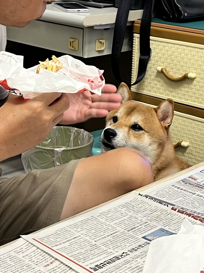 太郎的日常生活