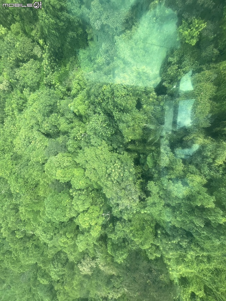 點我看大圖 探索高空與風景的交織—貓空水晶車廂之旅