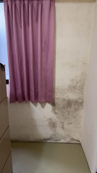 牆面裂縫以及發霉問題