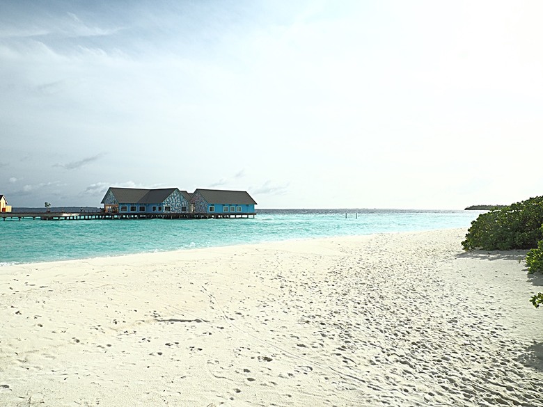 入住The Standard Maldives、碼頭邊珊瑚礁浮潛、出海賞海豚、環礁潟湖體驗 — 赤道三國文化休閒行旅 之 馬爾地夫篇 第一回 潟湖泳池水上屋(Lagoon Overwater Pool Villa)