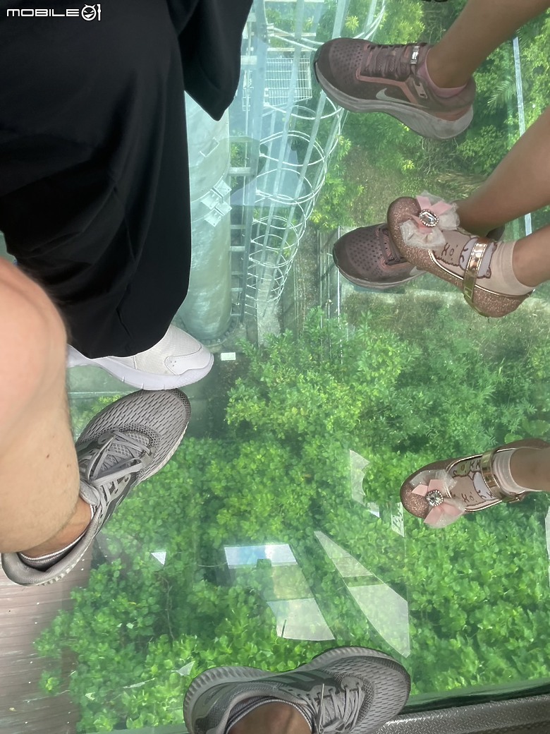 點我看大圖 探索高空與風景的交織—貓空水晶車廂之旅