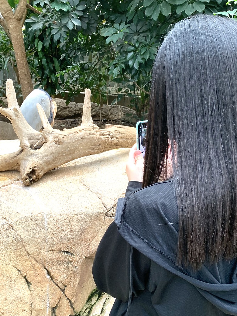 ＜日本＞2023關西~神戶動物王國（照片多），不怕天氣，玩飽整天！