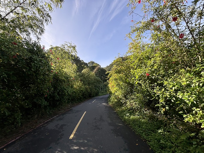 台北意外驚喜都市秘境 I 文化探索之旅與E-bike體驗