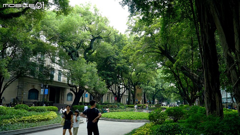點我看大圖 羊城拾翠|廣州沙面