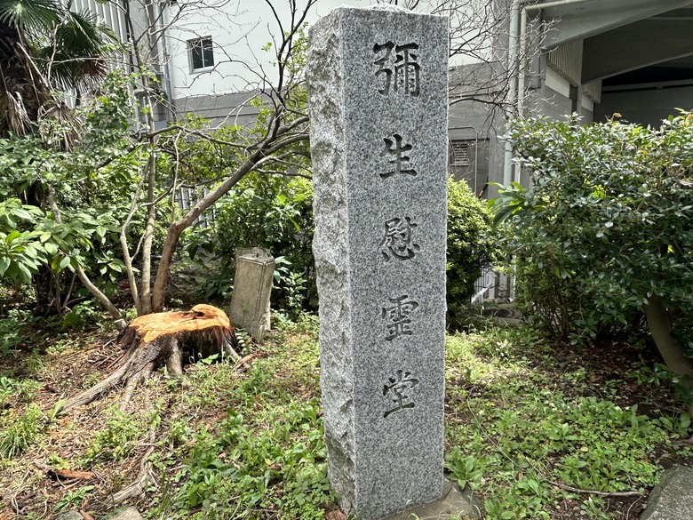 騎 單 車 遊 東 京 ( 上 )