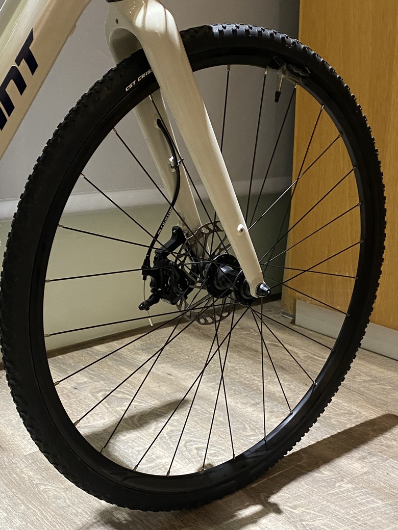 giant faster e+ 平價電輔公路車化