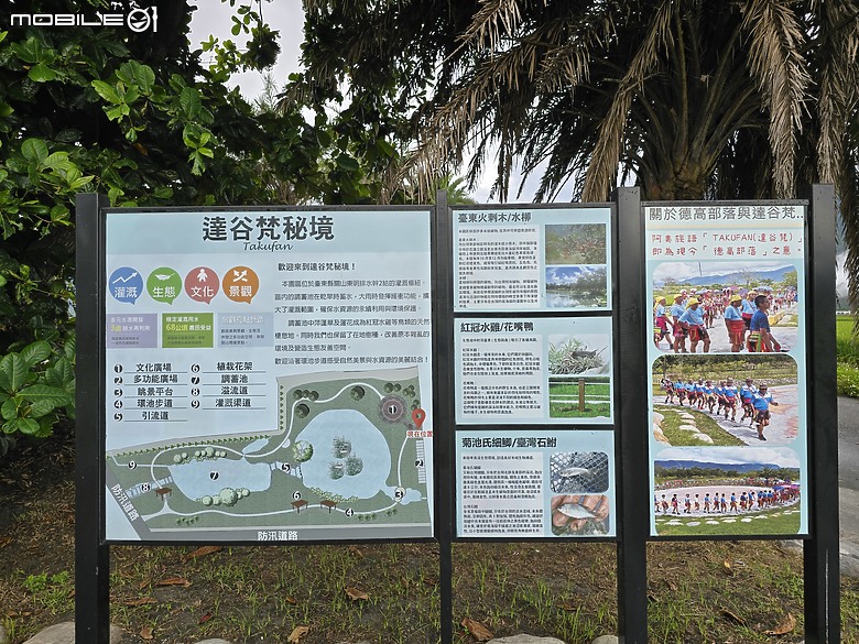202409來一趟關山的鐵馬鐵腿遊
