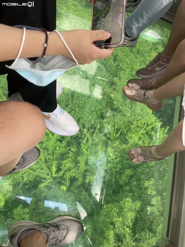 點我看大圖 探索高空與風景的交織—貓空水晶車廂之旅