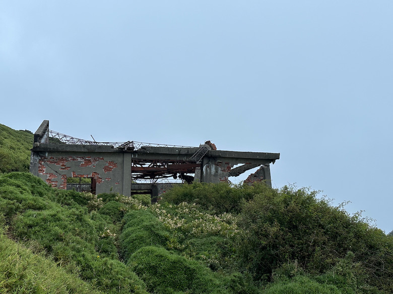 親子健行步道推薦【合歡東峰】|帶孩子拿下第一個百岳
