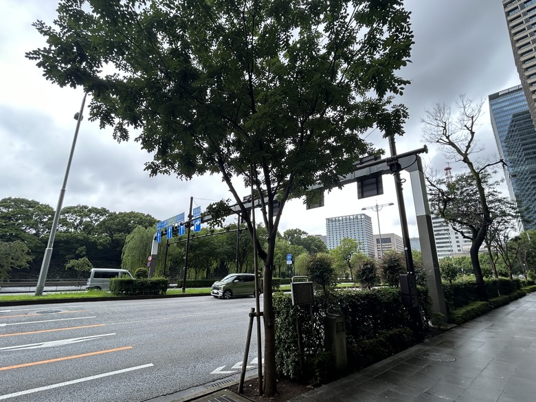騎 單 車 遊 東 京 ( 上 )