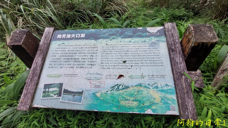【郊山走走】 向天山、面天山，眺望山海景緻、雙北市景