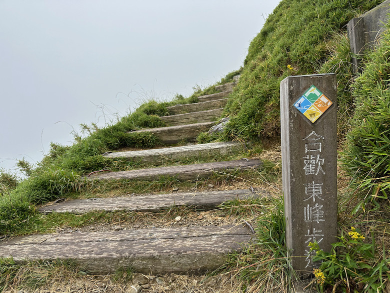 親子健行步道推薦【合歡東峰】|帶孩子拿下第一個百岳