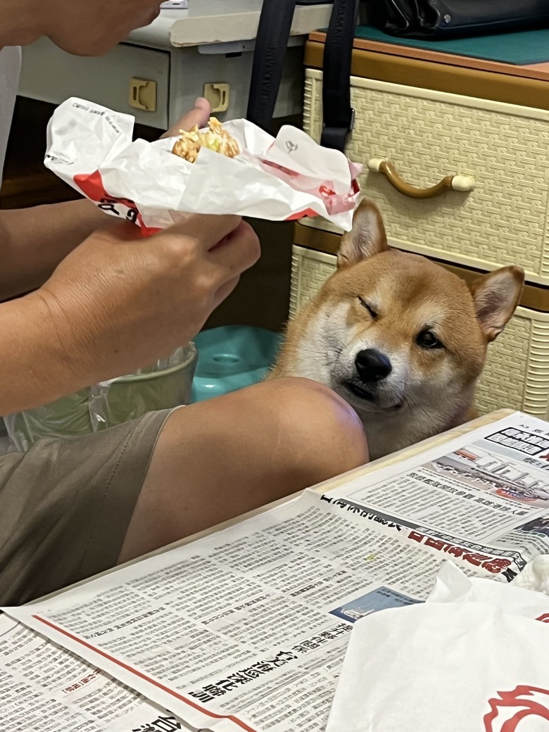 太郎的日常生活