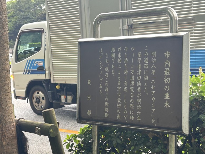 騎 單 車 遊 東 京 ( 上 )