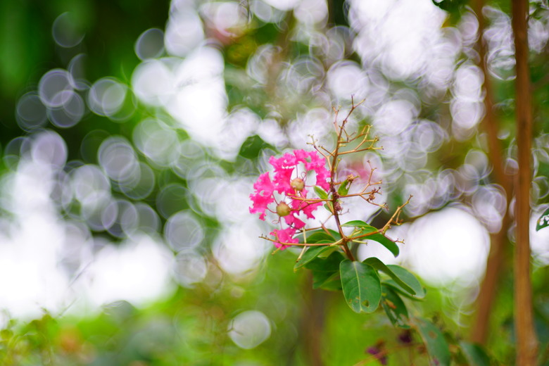 銘匠 100mm f2.8 肥皂泡泡鏡
