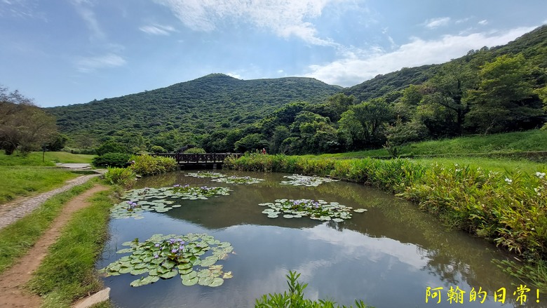 【郊山走走】 向天山、面天山，眺望山海景緻、雙北市景
