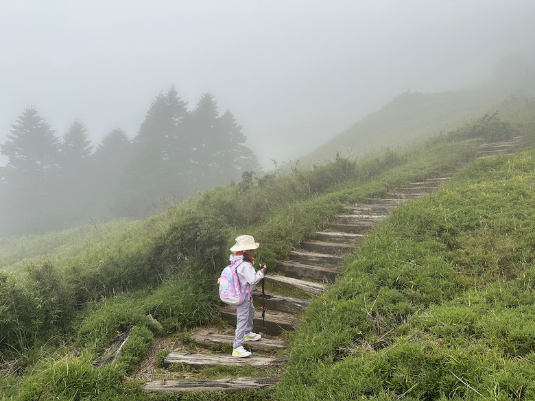 親子健行步道推薦【合歡東峰】|帶孩子拿下第一個百岳