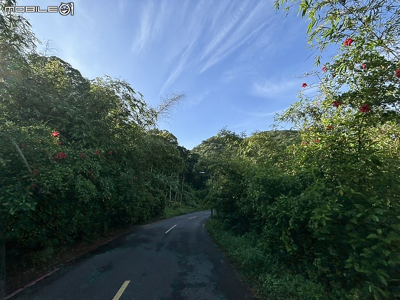 台北意外驚喜都市秘境 I 文化探索之旅與E-bike體驗