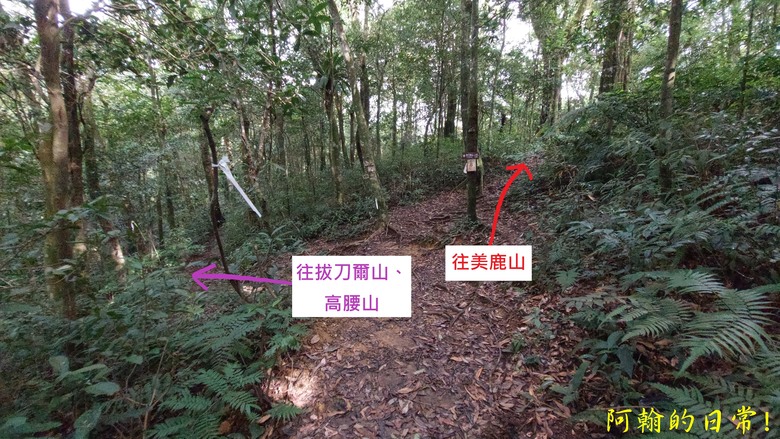 [郊山走走] 一個人的山林｜走走三山一峰的烏來三山