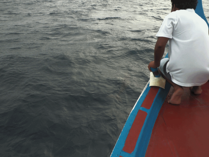 入住The Standard Maldives、碼頭邊珊瑚礁浮潛、出海賞海豚、環礁潟湖體驗 — 赤道三國文化休閒行旅 之 馬爾地夫篇 第一回 潟湖泳池水上屋(Lagoon Overwater Pool Villa)