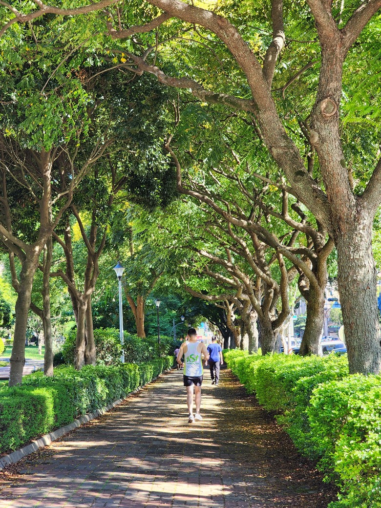 林口夏天真的比較涼爽!!(台灣大學與國衛院研究:住林口憂鬱症風險較低)!冬天依舊舒適!(日夜溫差小) (第50頁) - Mobile01