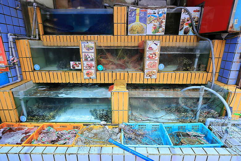 點我看大圖 (映像旅行) 徜徉璀璨晚霞金光、享受漁獲豐收樂趣 in新北市瑞芳