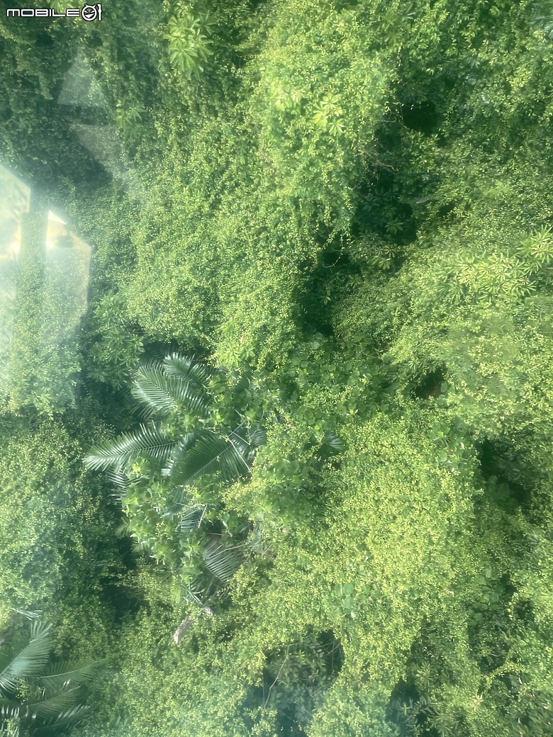 點我看大圖 探索高空與風景的交織—貓空水晶車廂之旅