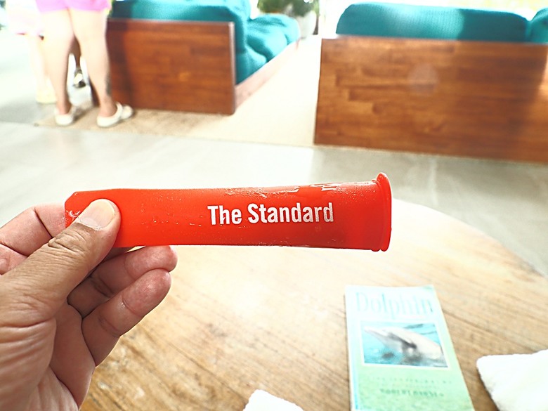 入住The Standard Maldives、碼頭邊珊瑚礁浮潛、出海賞海豚、環礁潟湖體驗 — 赤道三國文化休閒行旅 之 馬爾地夫篇 第一回 潟湖泳池水上屋(Lagoon Overwater Pool Villa)