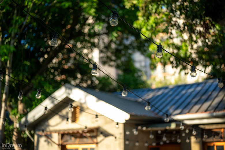 NIKON Z6II + 50 1.8Z 午後的光線