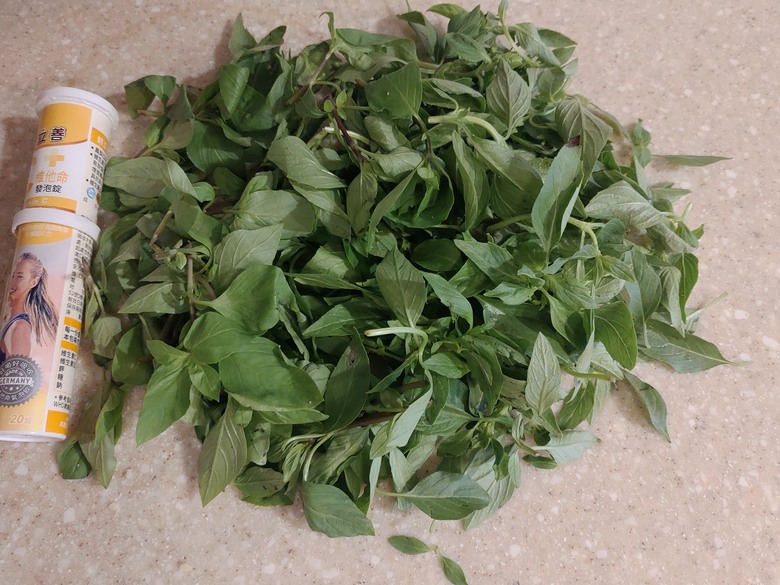 青菜暴貴 出外艱苦狼只能含淚九層塔