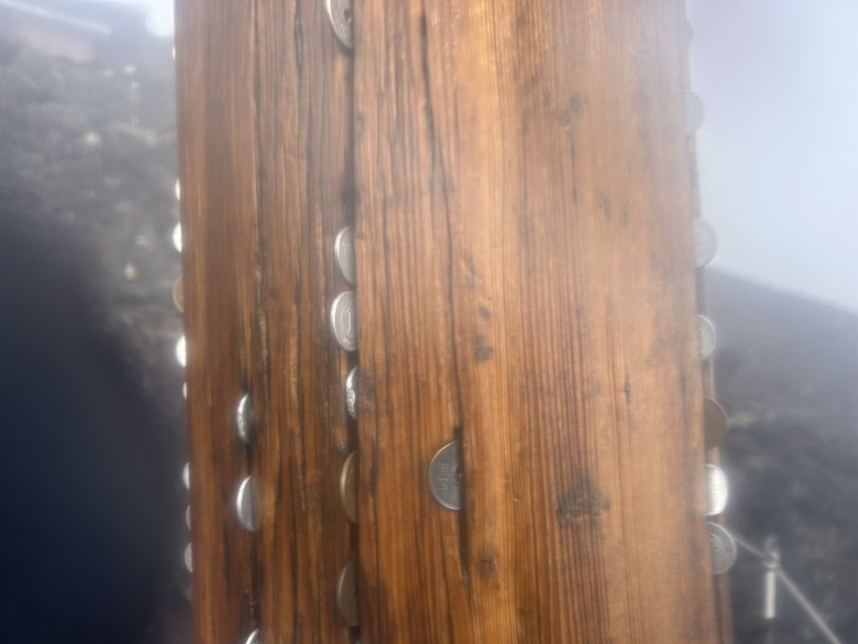 挑戰「珊珊」來遲的富士山登頂全紀錄( 下集 )