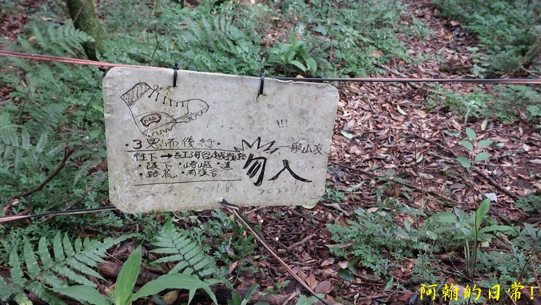 [郊山走走] 一個人的山林｜走走三山一峰的烏來三山