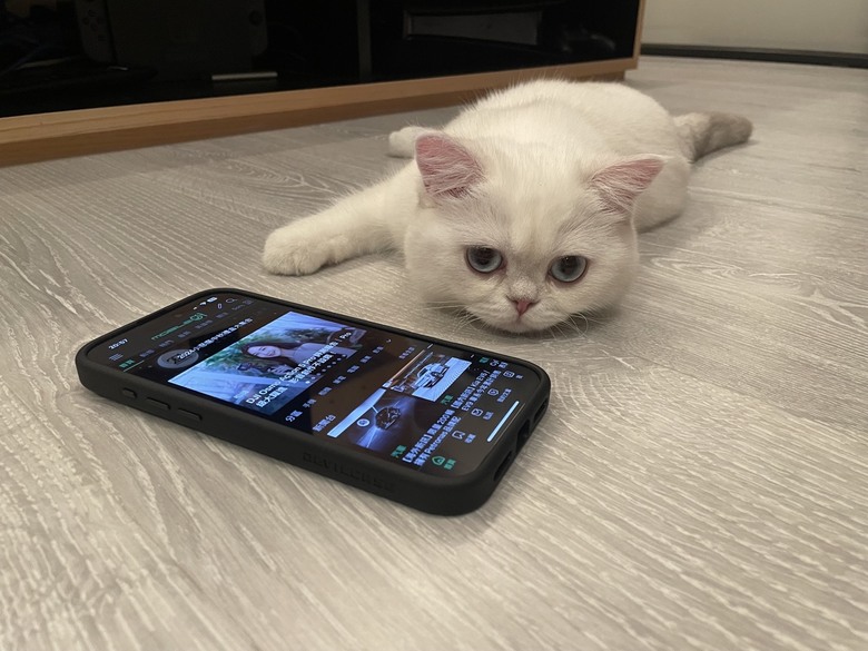 iPhone 16 Pro Max 入手! 新機資料轉移的小小心得