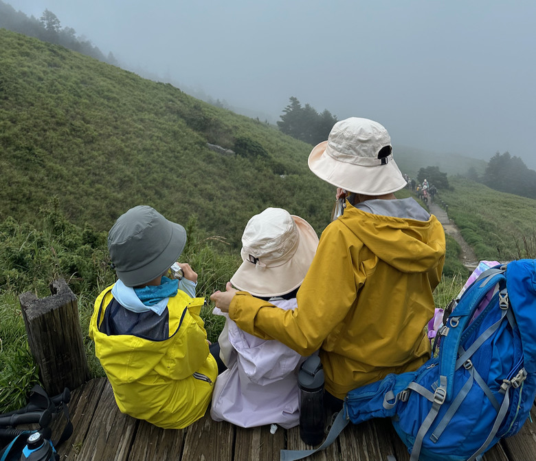 親子健行步道推薦【合歡東峰】|帶孩子拿下第一個百岳
