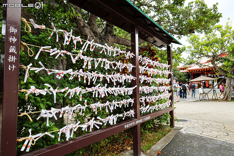 EOS R8＋RF15-30mm廣角鏡頭下的沖繩市區自由行