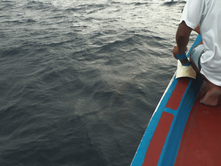 入住The Standard Maldives、碼頭邊珊瑚礁浮潛、出海賞海豚、環礁潟湖體驗 — 赤道三國文化休閒行旅 之 馬爾地夫篇 第一回 潟湖泳池水上屋(Lagoon Overwater Pool Villa)