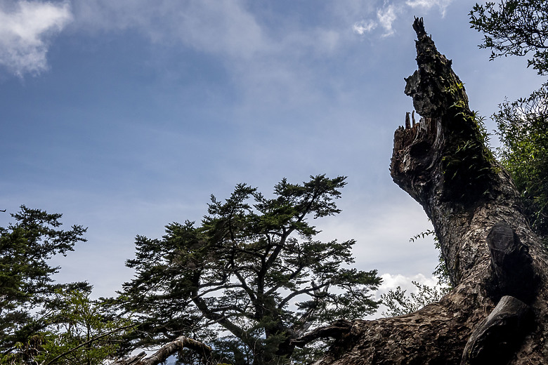 點我看大圖 二度登頂-用另一個角度看庫哈諾辛山