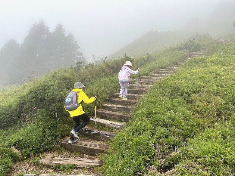 親子健行步道推薦【合歡東峰】|帶孩子拿下第一個百岳
