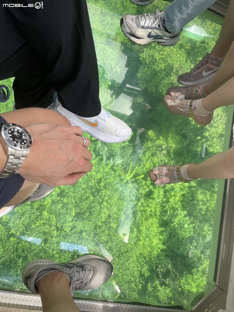 點我看大圖 探索高空與風景的交織—貓空水晶車廂之旅