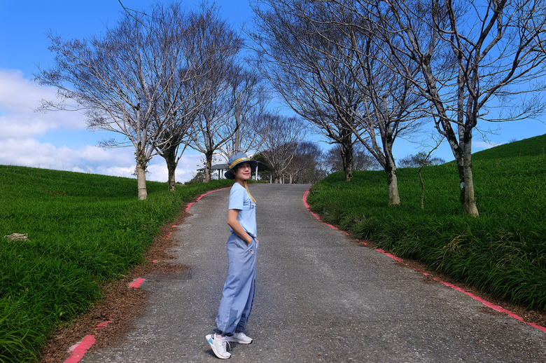 點我看大圖 【萬人山】花蓮最美登山口小百岳 | 六十石山金針園區內