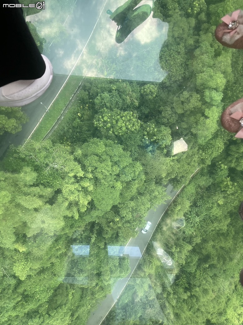 點我看大圖 探索高空與風景的交織—貓空水晶車廂之旅